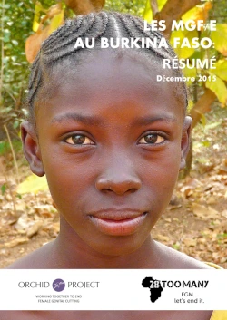 Executive Summary: FGM/C in Burkina Faso (2015, French)